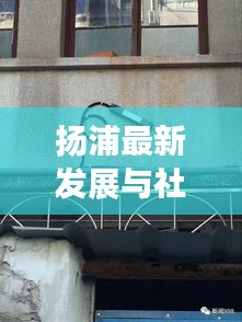 扬浦最新发展与社区动态新闻头条全掌握