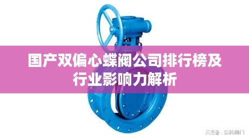 国产双偏心蝶阀公司排行榜及行业影响力解析