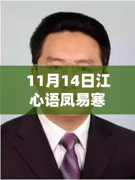 江心语凤易寒最新章节深度解析与背景探析（11月14日更新）