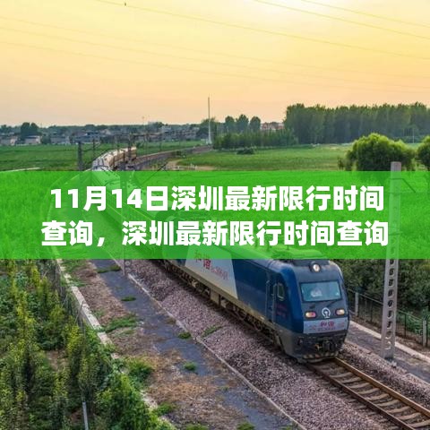 11月14日深圳限行时间最新解读，用户体验为核心的综合评测