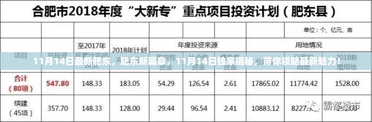 揭秘最新魅力肥东，11月14日独家呈现肥东新篇章