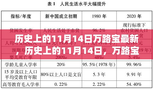 历史上的11月14日万路宝事件深度解读与最新观点探讨