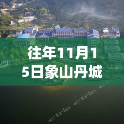 往年11月15日象山丹城求职高峰，最新工作机遇探寻