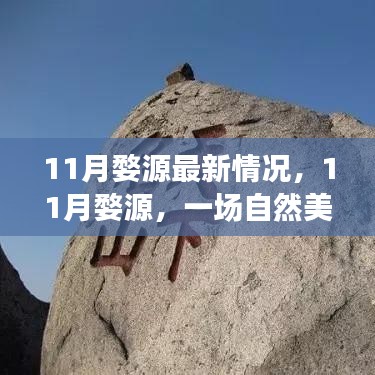 11月婺源美景之旅，探寻自然之心，远离尘嚣的宁静之乐