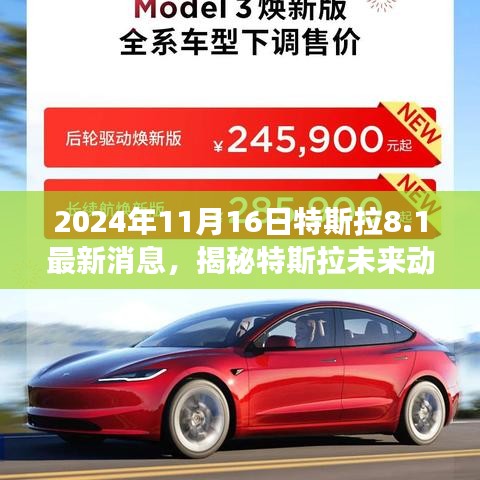 投诉说明 第675页