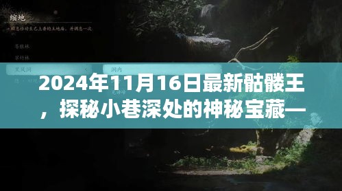 探秘神秘宝藏，最新骷髅王特色小店揭秘（2024年11月16日）