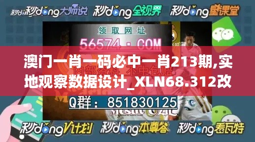 澳门一肖一码必中一肖213期,实地观察数据设计_XLN68.312改制版