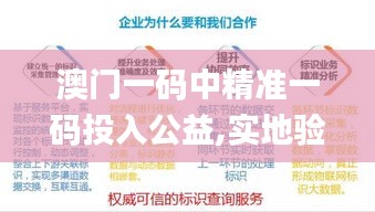 澳门一码中精准一码投入公益,实地验证策略具体_IRT68.198演讲版