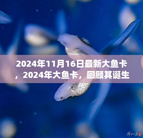 2024年大鱼卡诞生与重大事件回顾，时代浪潮中的影响地位