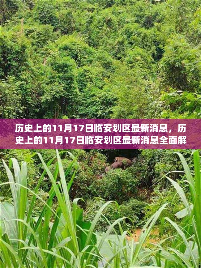 历史上的11月17日临安划区最新消息全面解读，特性、体验、竞品对比与用户深度分析