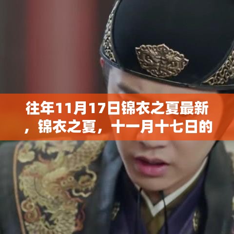 锦衣之夏的十一月十七日，温馨日常的最新篇章