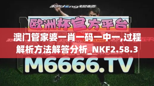 澳门管家婆一肖一码一中一,过程解析方法解答分析_NKF2.58.34动态版