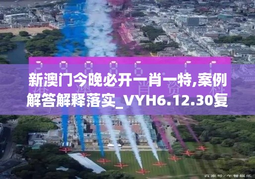 新澳门今晚必开一肖一特,案例解答解释落实_VYH6.12.30复兴版