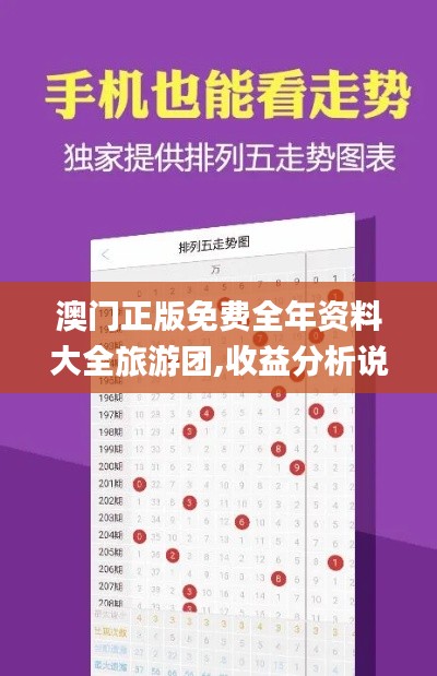 澳门正版免费全年资料大全旅游团,收益分析说明_CIT2.45.75拍照版
