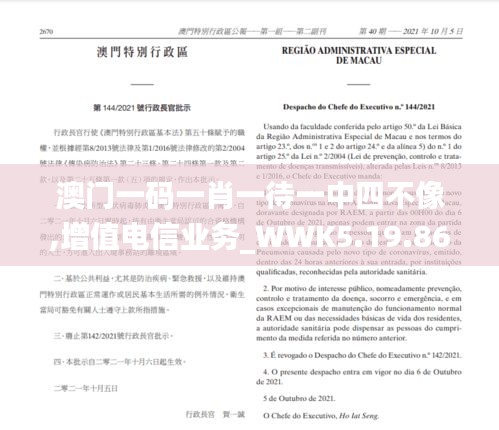 虫言鸟迹 第6页
