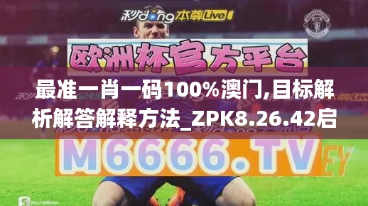 最准一肖一码100%澳门,目标解析解答解释方法_ZPK8.26.42启天境