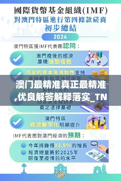 澳门最精准真正最精准,优良解答解释落实_TND1.42.96环境版