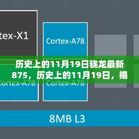 天南地北 第5页