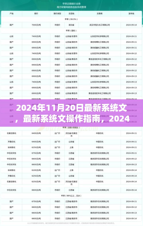 2024年最新版系统操作指南，从初学者到进阶用户的全面教程