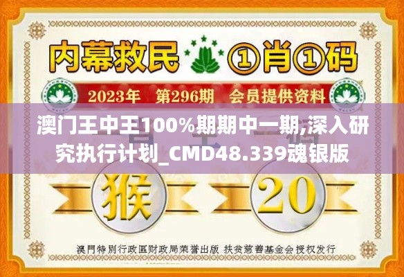 澳门王中王100%期期中一期,深入研究执行计划_CMD48.339魂银版