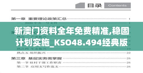 新澳门资料全年免费精准,稳固计划实施_KSO48.494经典版