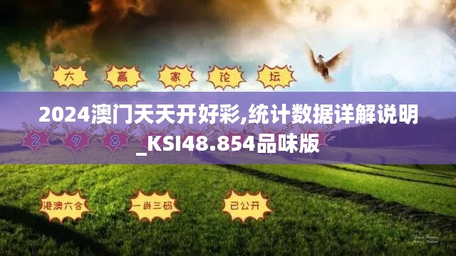 2024澳门天天开好彩,统计数据详解说明_KSI48.854品味版
