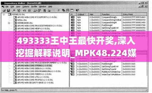 493333王中王最快开奖,深入挖掘解释说明_MPK48.224媒体版