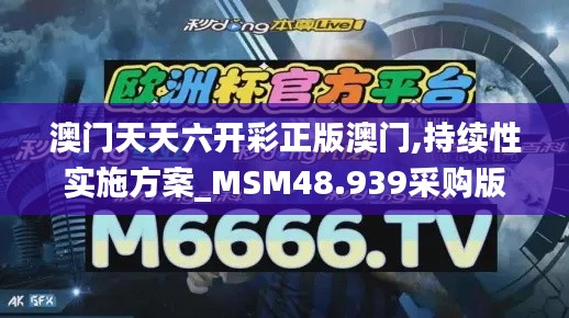 澳门天天六开彩正版澳门,持续性实施方案_MSM48.939采购版