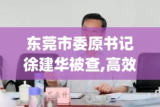 东莞市委原书记徐建华被查,高效计划实施_QQR48.196安静版