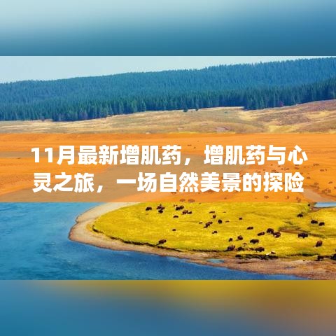 最新增肌药与心灵探险之旅，自然美景中的平和力量发现之旅