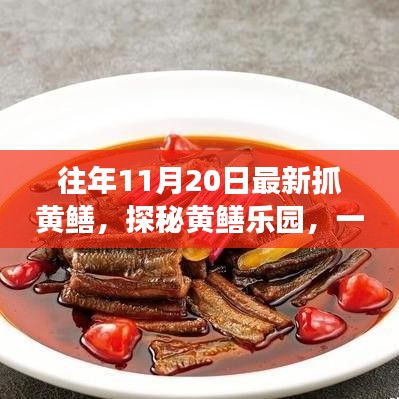 支付方式 第503页
