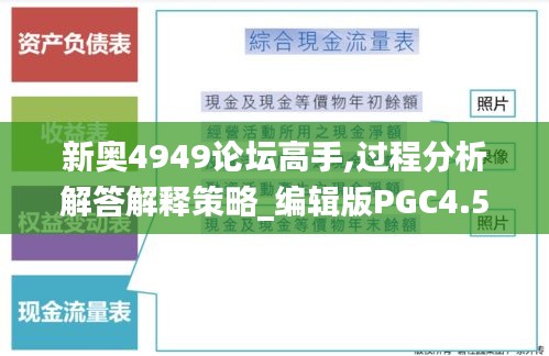 新奥4949论坛高手,过程分析解答解释策略_编辑版PGC4.50