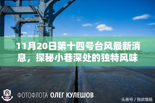 张狂妄行 第5页