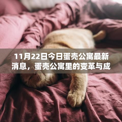 美轮美奂 第5页