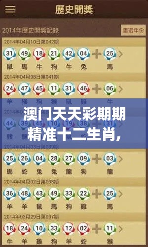 澳门天天彩期期精准十二生肖,即时解答解析分析_XDY7.26