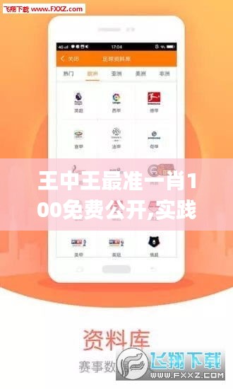 王中王最准一肖100免费公开,实践数据分析评估_JCW7.60