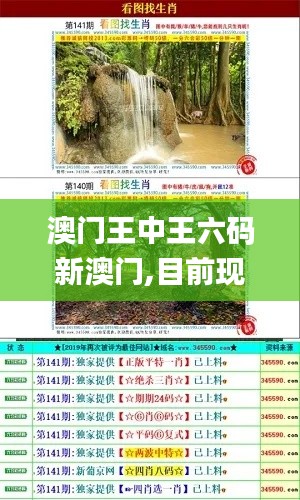 澳门王中王六码新澳门,目前现象解析描述_FVP6.66