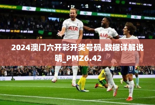 2024澳门六开彩开奖号码,数据详解说明_PMZ6.42