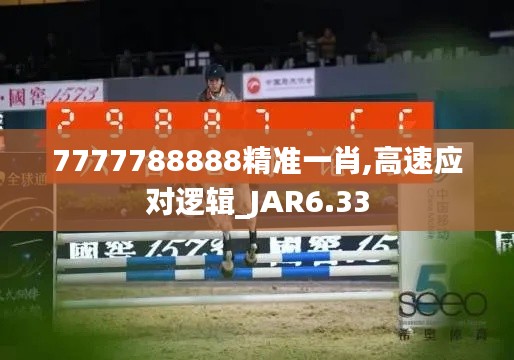 支付方式 第468页