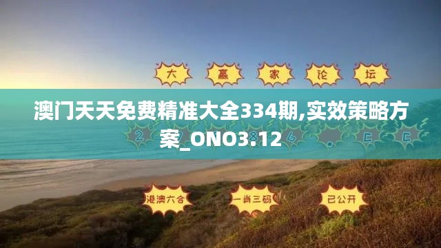 澳门天天免费精准大全334期,实效策略方案_ONO3.12