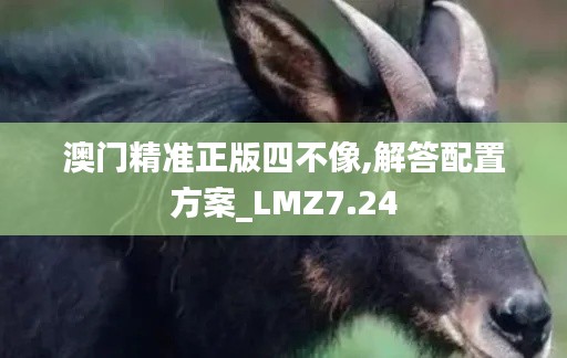 越鸟南栖 第5页