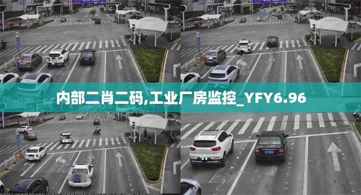 内部二肖二码,工业厂房监控_YFY6.96