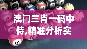 澳门三肖一码中恃,精准分析实践_FXS6.17