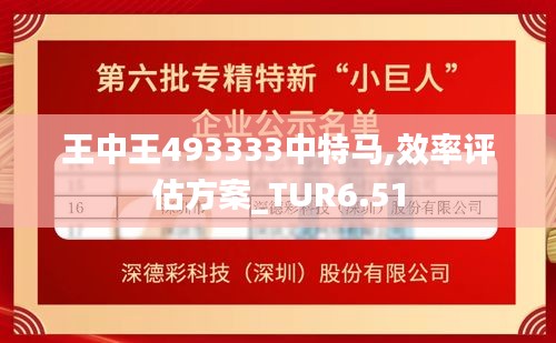 王中王493333中特马,效率评估方案_TUR6.51