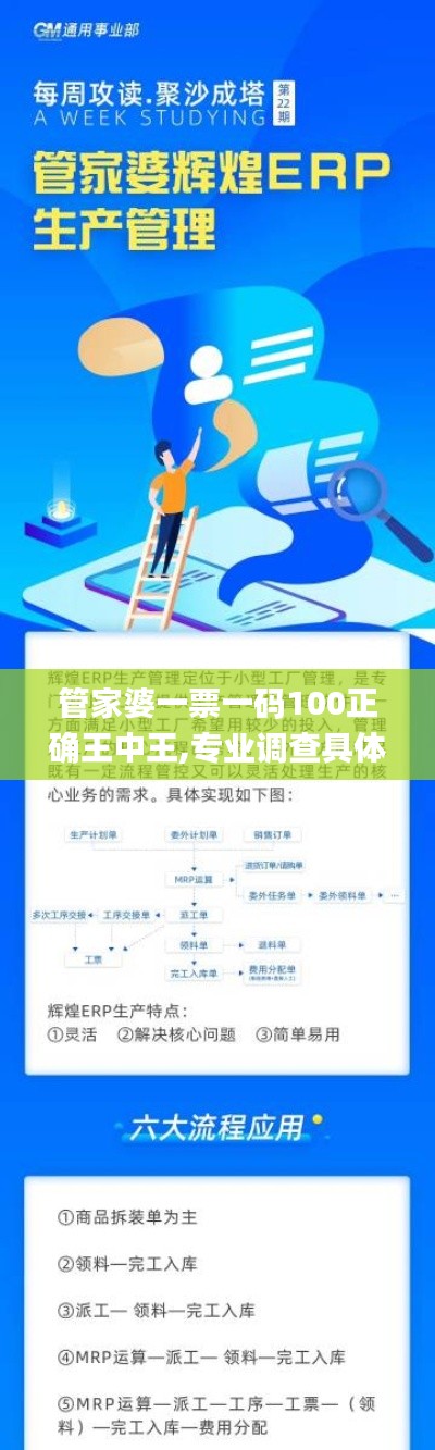 管家婆一票一码100正确王中王,专业调查具体解析_BBH6.54