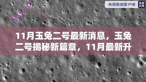 披沙拣金 第5页
