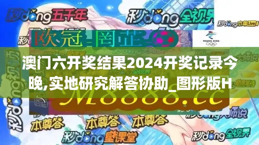 澳门六开奖结果2024开奖记录今晚,实地研究解答协助_图形版HMI5.75