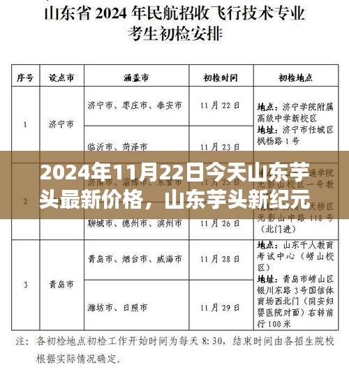 山东芋头新纪元，科技赋能下的未来食品价格展望（2024年11月22日）