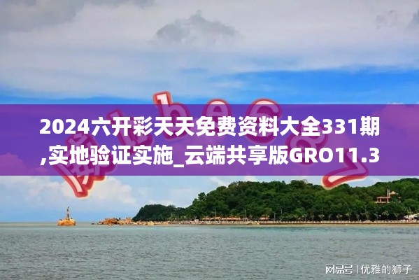 2024六开彩天天免费资料大全331期,实地验证实施_云端共享版GRO11.36