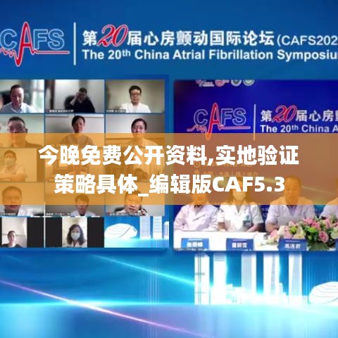 今晚免费公开资料,实地验证策略具体_编辑版CAF5.3